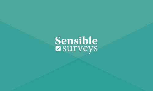 Sensible Surveys
